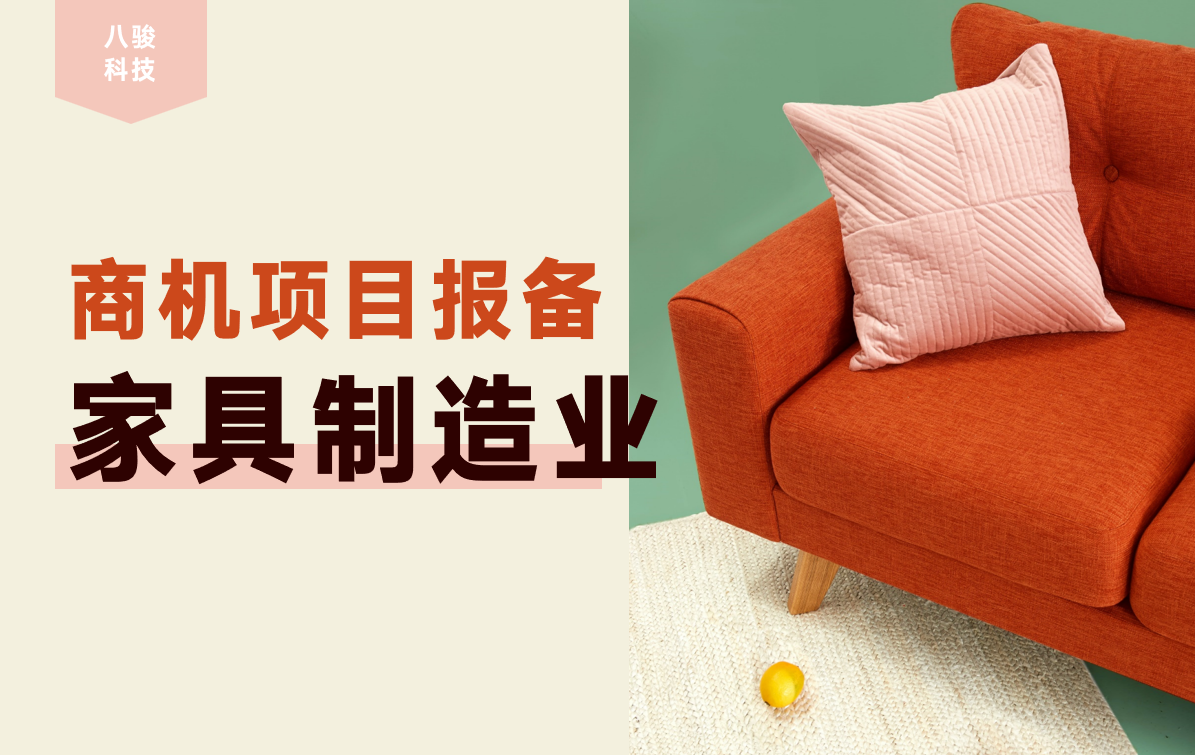 項(xiàng)目報(bào)備軟件